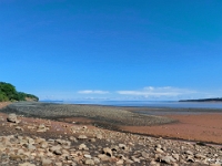 67031Cr - Walking on the shale and slate on Blue Beach at low tide, Hantsport, NS.jpg